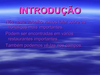 INTRODUÇÃO Nós neste trabalho vamos falar sobre as hortaliças mais importantes. Podem ser encontradas em vários restaurantes importantes. Também podemos vê-las nos campos. 