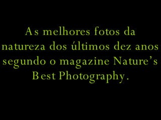 As melhores fotos da natureza dos últimos dez anos segundo o magazine Nature’s Best Photography. 