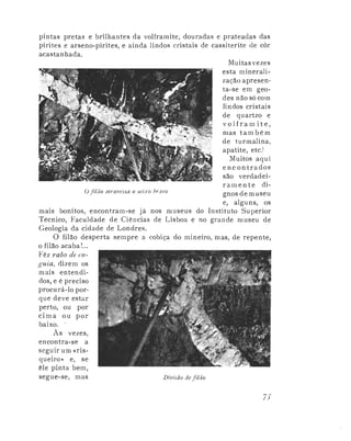 As Minas da Panasqueira