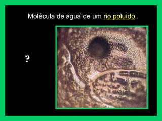 Molécula de água de um rio poluído.
?
 