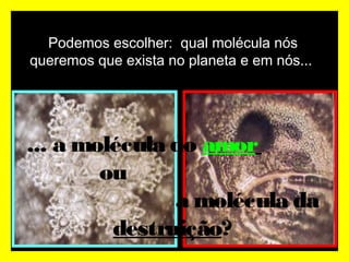 Podemos escolher: qual molécula nós
queremos que exista no planeta e em nós...
... a molécula do amor
ou
a molécula da
destruição?
 