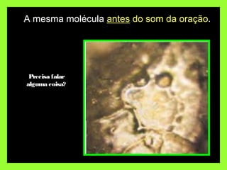 A mesma molécula antes do som da oração.
Precisa falar
alguma coisa?
 