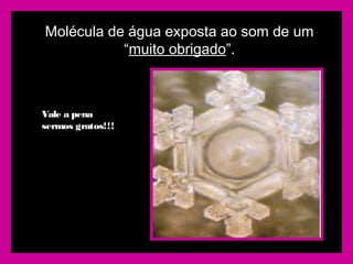 Molécula de água exposta ao som de um
“muito obrigado”.
Vale a pena
sermos gratos!!!
 
