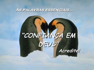 As palavras essenciais… “ CONFIANÇA EM DEUS" Acredite!