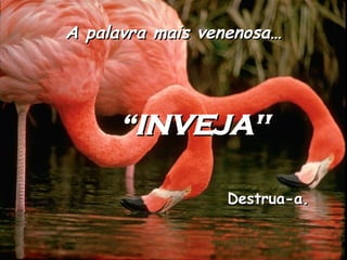 A palavra mais venenosa… “ INVEJA" Destrua-a.