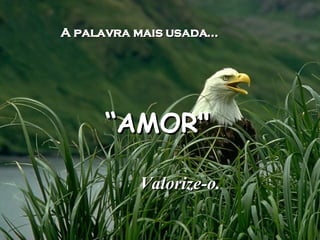 A palavra mais usada... “ AMOR" Valorize-o.