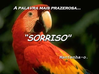 A palavra mais prazerosa… “ SORRISO" Mantenha-o.