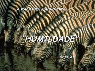 A palavra mais difícil… ” HUMILDADE" Seja-o.