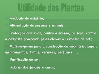 Utilidade das Plantas Produção de oxigénio; Alimentação de pessoas e animais; Protecção dos solos, contra a erosão, ou seja, contra o desgaste provocado pelas chuvas ou excesso de sol   ; Purificação do ar   ; Matéria-prima para a construção de mobiliário, papel, medicamentos, tintas, vernizes, perfumes, ...    Adorno dos jardins e casas. 