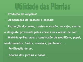 Utilidade das Plantas Produção de oxigénio; Alimentação de pessoas e animais; Protecção dos solos, contra a erosão, ou seja, contra o desgaste provocado pelas chuvas ou excesso de sol   ; Purificação do ar   ; Matéria-prima para a construção de mobiliário, papel, medicamentos, tintas, vernizes, perfumes, ...    Adorno dos jardins e casas. 