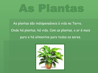 As Plantas As plantas são indispensáveis à vida na Terra. Onde há plantas, há vida. Com as plantas, o ar é mais puro e há ...