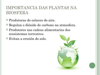 IMPORTANCIA DAS PLANTAS NA
BIOSFERA
 Produtoras do osíxeno do aire.
 Regulan o dióxido de carbono na atmosfera.
 Produtores nas cadeas alimentarias dos
ecosistemas terrestres.
 Evitan a erosión do solo.
 