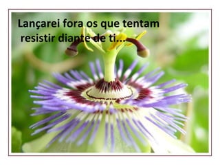 Lançarei fora os que tentam resistir diante de ti... 