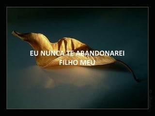 EU NUNCA TE ABANDONAREI FILHO MEU 