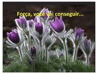 Força, você vai conseguir... 