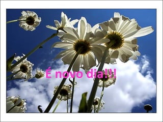 É novo dia!!! 