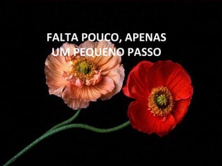 FALTA POUCO, APENAS UM PEQUENO PASSO 