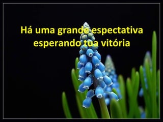 Há uma grande espectativa esperando tua vitória 