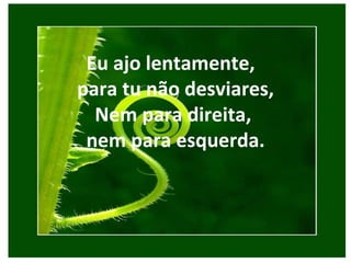 Eu ajo lentamente,  para tu não desviares,  Nem para direita,  nem para esquerda. 