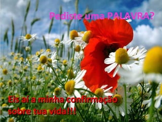 Pediste uma PALAVRA? Eis aí a minha confirmação  sobre tua vida!!! 