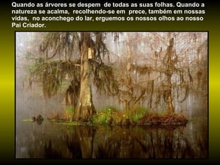 Quando as árvores se despem  de todas as suas folhas. Quando a natureza se acalma,  recolhendo-se em  prece, também em nossas vidas,  no aconchego do lar, erguemos os nossos olhos ao nosso Pai Criador.  