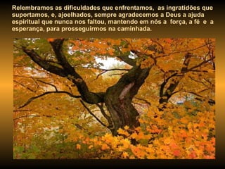 Relembramos as dificuldades que enfrentamos,  as ingratidões que suportamos, e, ajoelhados, sempre agradecemos a Deus a ajuda espiritual que nunca nos faltou, mantendo em nós a  força, a fé  e  a esperança, para prosseguirmos na caminhada.  