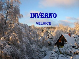 INVERNO VELHICE 