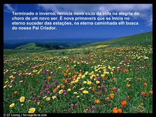 Terminado o inverno, reinicia novo ciclo da vida na alegria do choro de um novo ser. É nova primavera que se inicia no eterno suceder das estações, na eterna caminhada em busca do nosso Pai Criador.  Terminado o inverno, reinicia novo ciclo da vida na alegria do choro de um novo ser. É nova primavera que se inicia no eterno suceder das estações, na eterna caminhada em busca do nosso Pai Criador.  