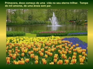 Primavera, doce começo de uma  vida no seu eterno trilhar.  Tempo de mil amores, de uma ânsia sem par .  