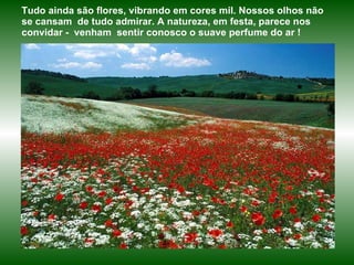 Tudo ainda são flores, vibrando em cores mil. Nossos olhos não se cansam  de tudo admirar. A natureza, em festa, parece nos convidar -  venham  sentir conosco o suave perfume do ar ! 