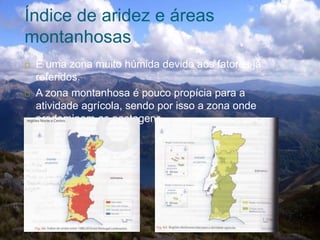 Índice de aridez e áreas
montanhosas
 É uma zona muito húmida devido aos fatores já
referidos.
 A zona montanhosa é pouco propícia para a
atividade agrícola, sendo por isso a zona onde
predominam as pastagens.
 