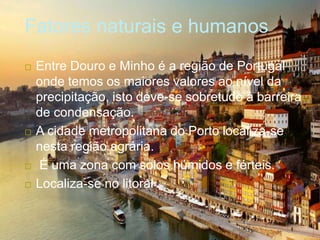 Fatores naturais e humanos
 Entre Douro e Minho é a região de Portugal
onde temos os maiores valores ao nível da
precipitação, isto deve-se sobretudo á barreira
de condensação.
 A cidade metropolitana do Porto localiza-se
nesta região agrária.
 É uma zona com solos húmidos e férteis.
 Localiza-se no litoral .
 