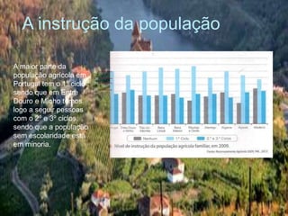 A instrução da população
A maior parte da
população agrícola em
Portugal tem o 1º ciclo ,
sendo que em Entre
Douro e Minho temos
logo a seguir pessoas
com o 2º e 3º ciclos,
sendo que a população
sem escolaridade está
em minoria.
40
35
30
25
 
