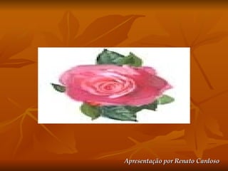 Apresentação por Renato Cardoso 