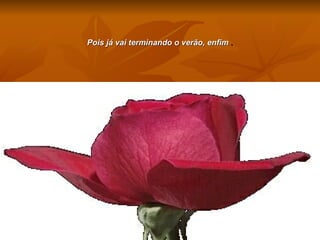 Pois já vai terminando o verão, enfim   . 