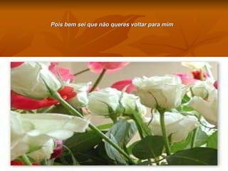 Pois bem sei que não queres voltar para mim   