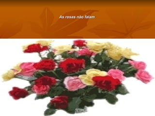 As rosas não falam   