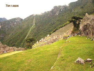 Terraços 