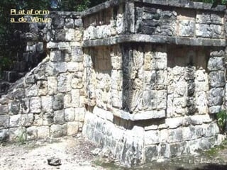 Plataforma de Vênus 