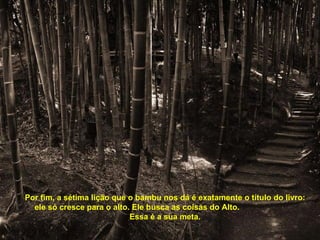 Por fim, a sétima lição que o bambu nos dá é exatamente o título do livro: ele só cresce para o alto. Ele busca as coisas do Alto.  Essa é a sua meta. 