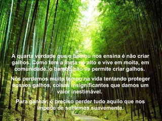 A quarta verdade que o bambu nos ensina é não criar galhos. Como tem a meta no alto e vive em moita, em comunidade, o bambu não se permite criar galhos.  Nós perdemos muito tempo na vida tentando proteger nossos galhos, coisas insignificantes que damos um valor inestimável.  Para ganhar, é preciso perder tudo aquilo que nos impede de subirmos suavemente. 