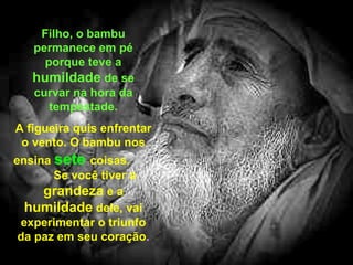 Filho, o bambu permanece em pé porque teve a  humildade  de se curvar na hora da tempestade. A figueira quis enfrentar o vento. O bambu nos ensina  sete  coisas.  Se você tiver a  grandeza  e a  humildade  dele, vai experimentar o triunfo da paz em seu coração . 