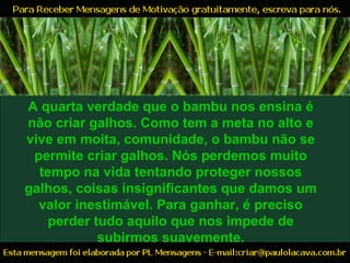 A quarta verdade que o bambu nos ensina é
não criar galhos. Como tem a meta no alto e
vive em moita, comunidade, o bambu não se
permite criar galhos. Nós perdemos muito
tempo na vida tentando proteger nossos
galhos, coisas insignificantes que damos um
valor inestimável. Para ganhar, é preciso
perder tudo aquilo que nos impede de
subirmos suavemente.
 