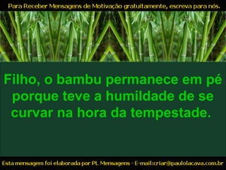 Filho, o bambu permanece em pé
porque teve a humildade de se
curvar na hora da tempestade.
 