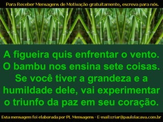A figueira quis enfrentar o vento.
O bambu nos ensina sete coisas.
Se você tiver a grandeza e a
humildade dele, vai experimentar
o triunfo da paz em seu coração.
 