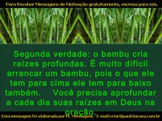 Segunda verdade: o bambu cria
raízes profundas. É muito difícil
arrancar um bambu, pois o que ele
tem para cima ele tem para baixo
também. Você precisa aprofundar
a cada dia suas raízes em Deus na
oração.
 