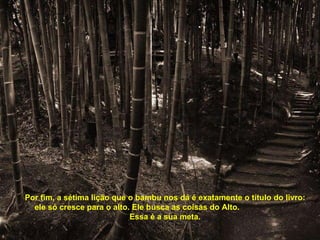 Por fim, a sétima lição que o bambu nos dá é exatamente o título do livro: ele só cresce para o alto. Ele busca as coisas do Alto.  Essa é a sua meta. 