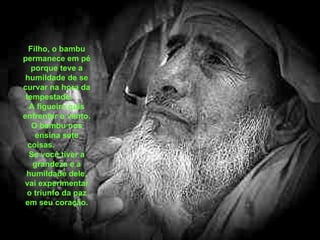 Filho, o bambu permanece em pé porque teve a humildade de se curvar na hora da tempestade.  A figueira quis enfrentar o vento. O bambu nos ensina sete coisas.  Se você tiver a grandeza e a humildade dele, vai experimentar o triunfo da paz em seu coração. 