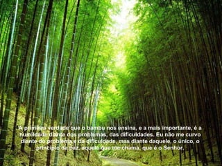 A primeira verdade que o bambu nos ensina, e a mais importante, é a humildade diante dos problemas, das dificuldades. Eu não me curvo diante do problema e da dificuldade, mas diante daquele, o único, o princípio da paz, aquele que me chama, que é o Senhor. 