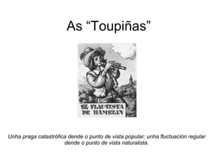 As “Toupiñas” Unha praga catastrófica dende o punto de vista popular; unha fluctuación regular dende o punto de vista naturalista. 